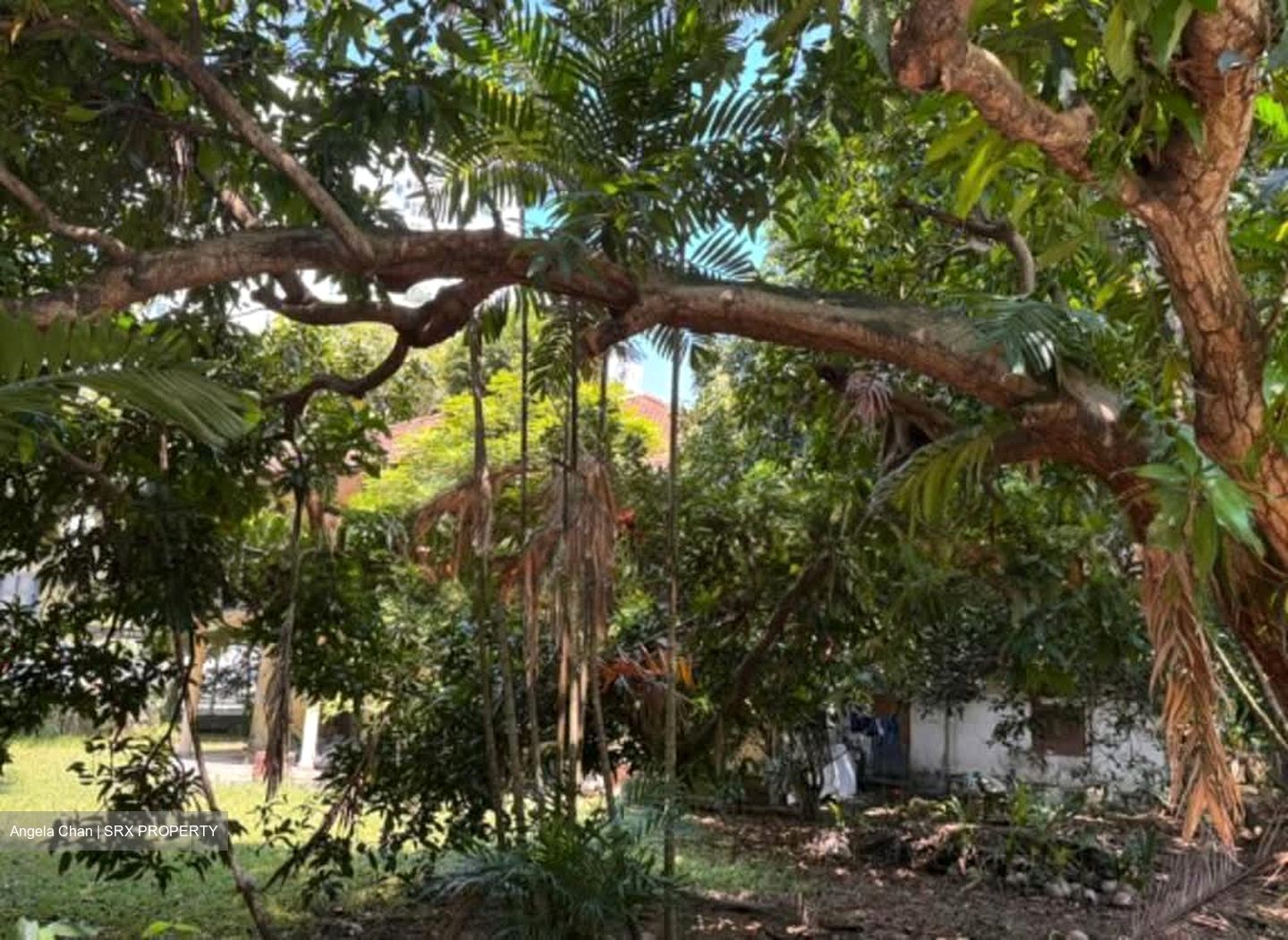 Tanjong Rhu Road (D15),  #586589491